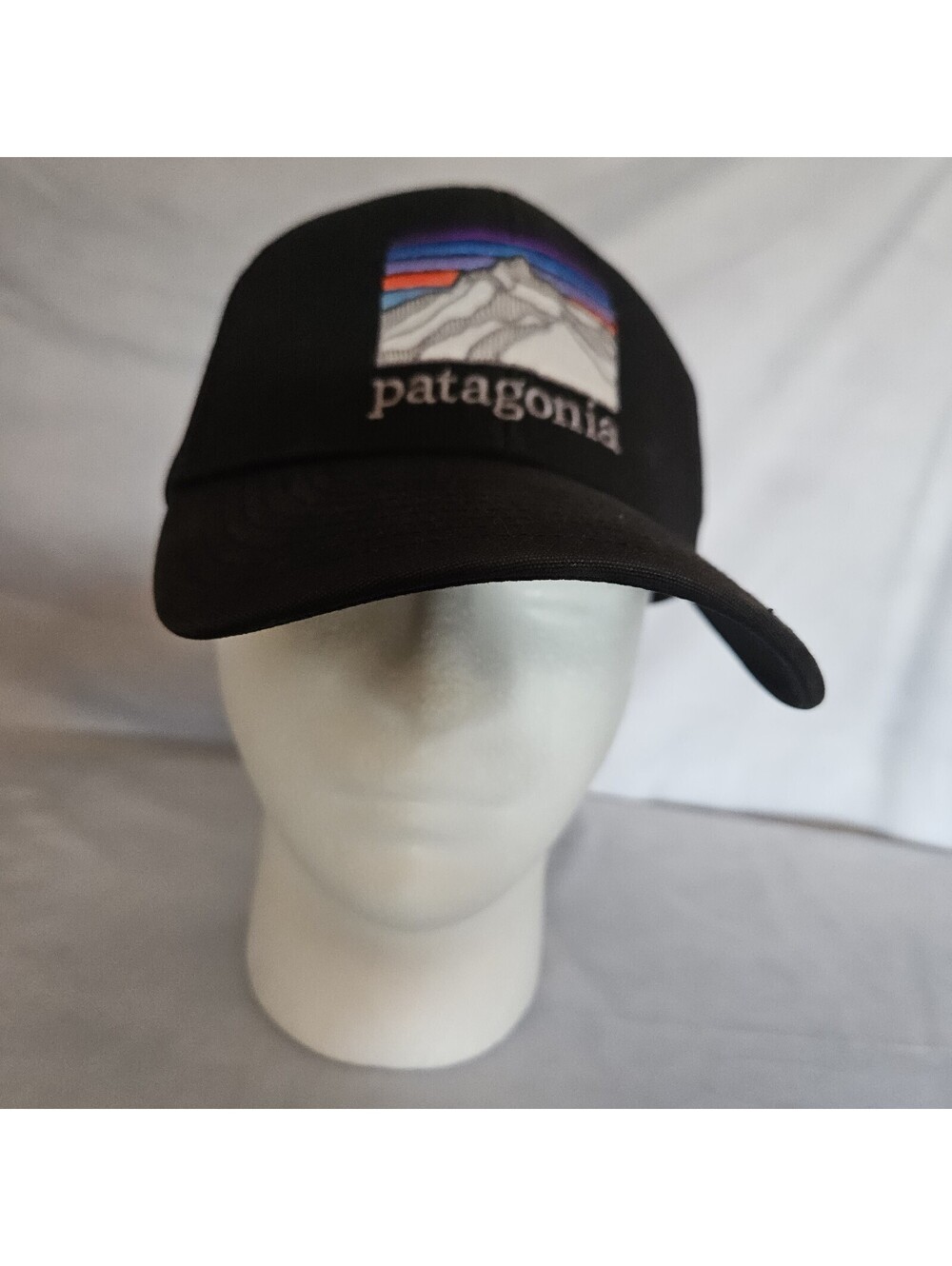 Patagonia P-6 Logo Trucker Hat in Black Snapback Men One Size